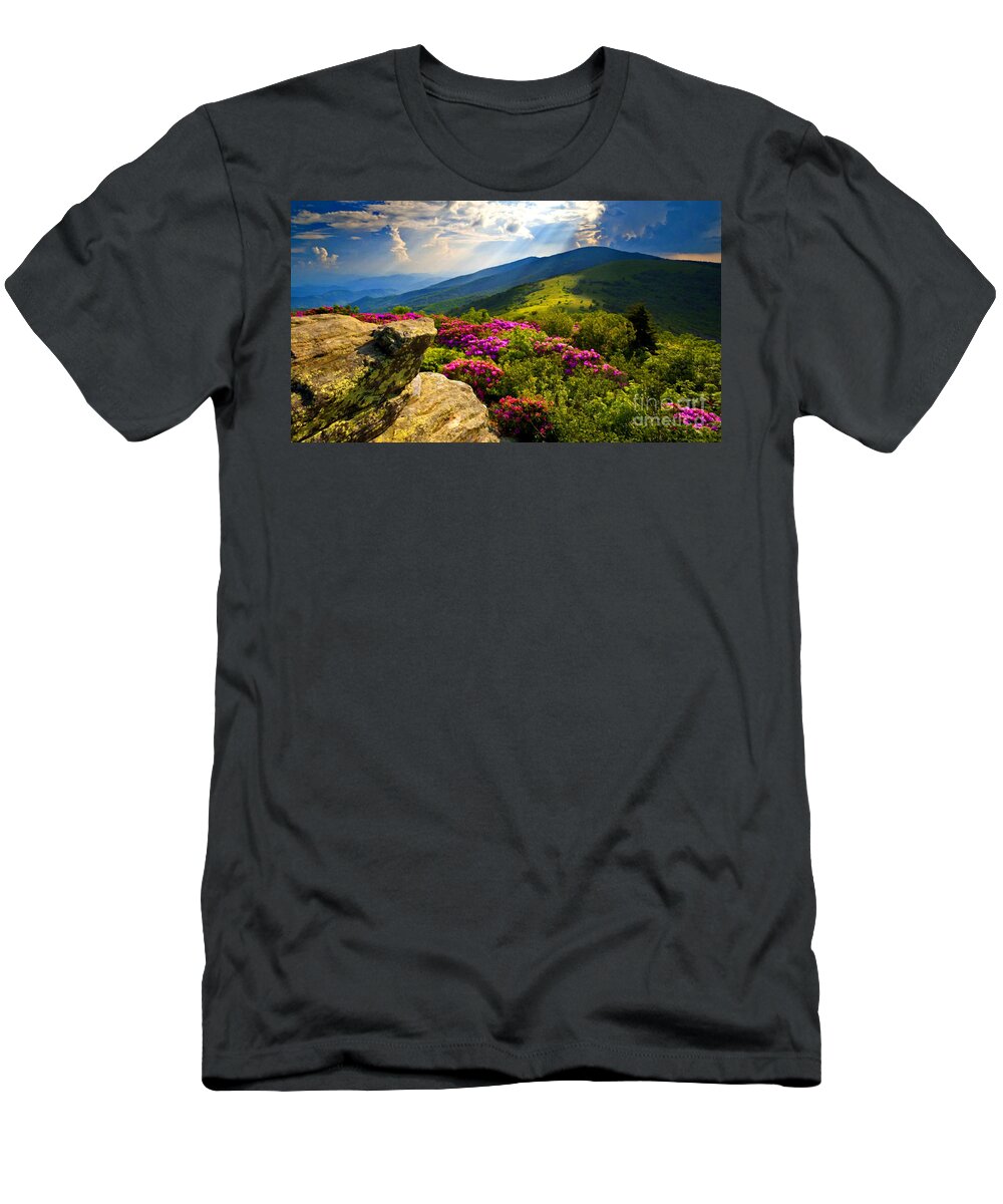 Blue Ridge Parkway T-Shirt featuring the mixed media Blue Ridge Parkway Catawba Rhododendrons by Sandi OReilly