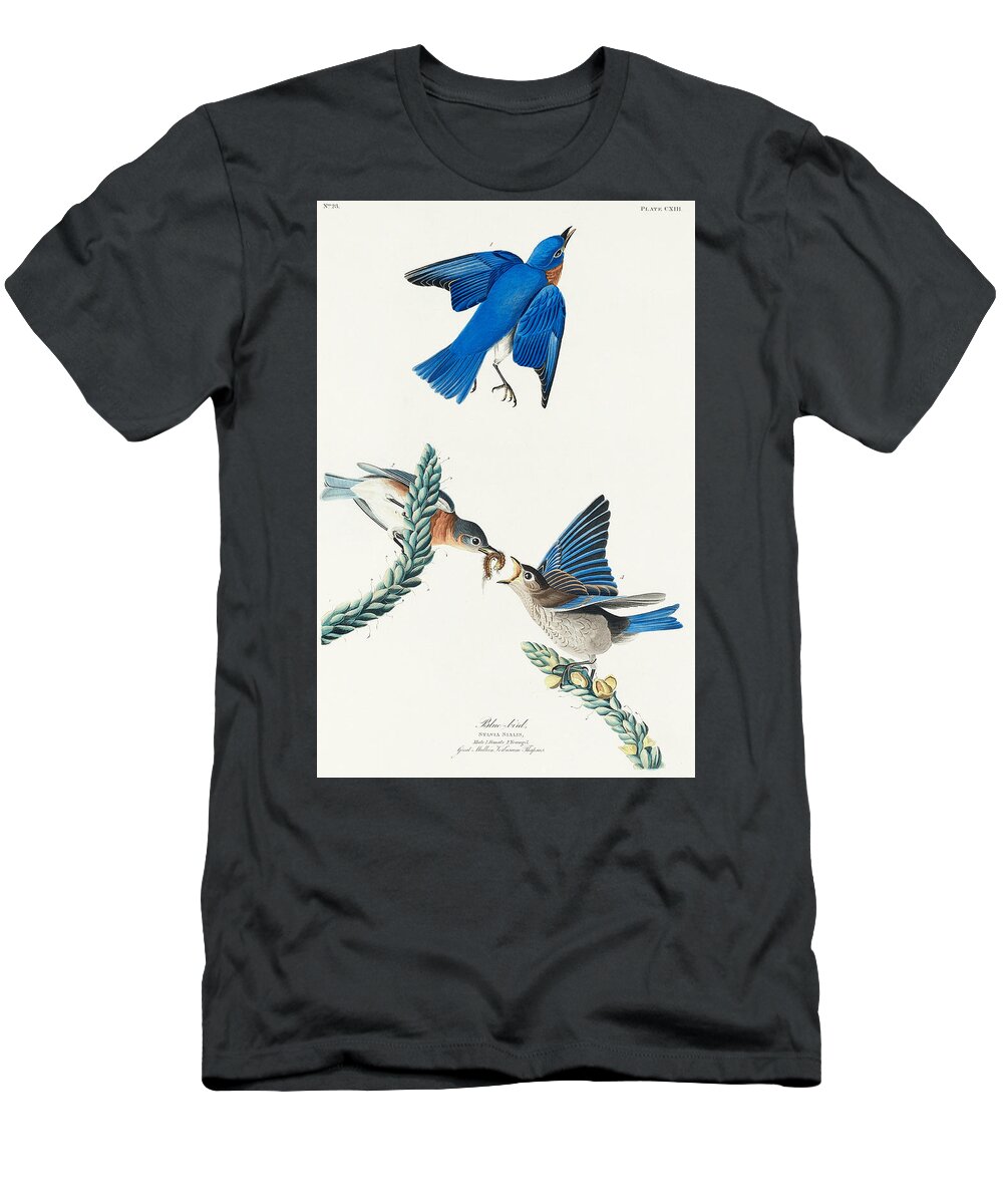 Bluebird T-Shirt featuring the mixed media Bluebird. John James Audubon by World Art Collective