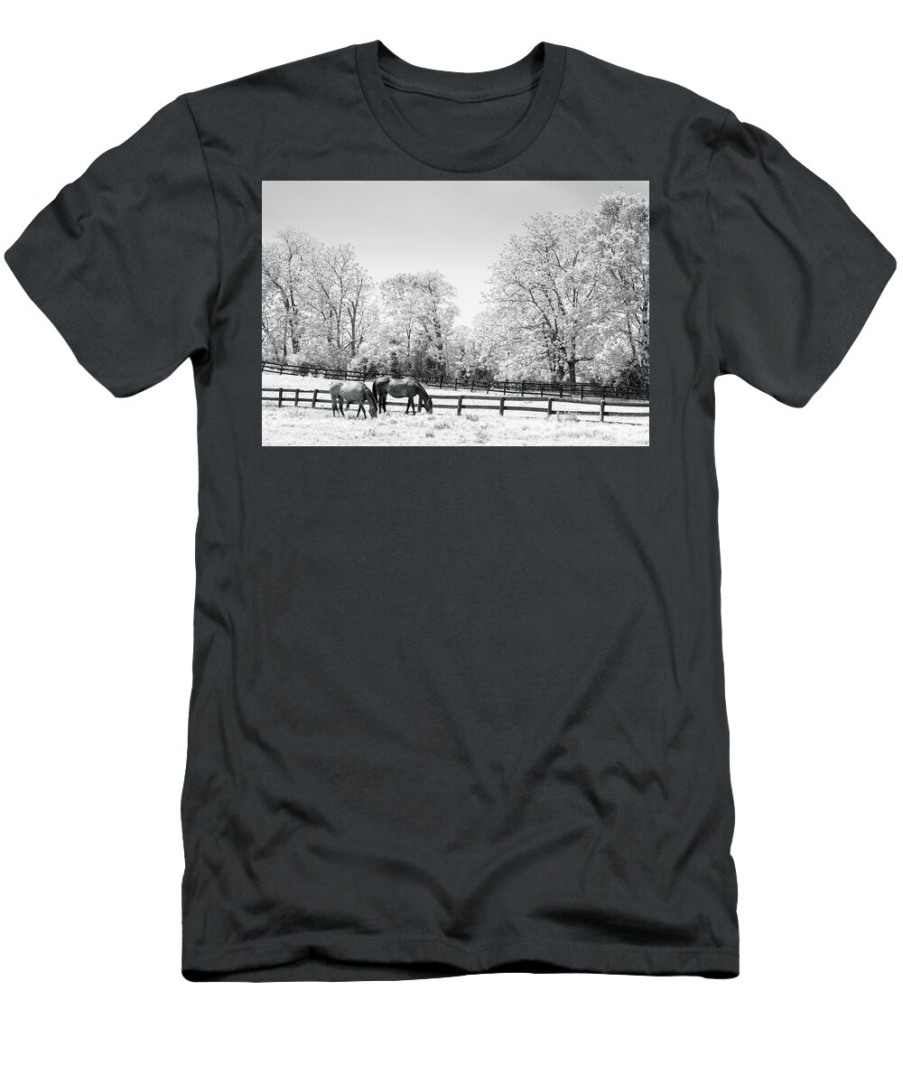 Agriculture T-Shirt featuring the photograph Bluegrass horse farm IR by Alexey Stiop