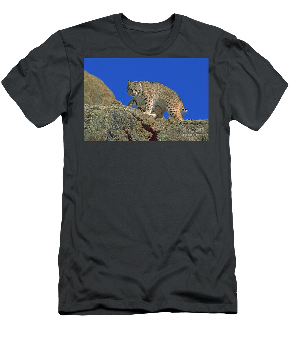 00191429 T-Shirt featuring the photograph Bobcat Climbing Boulders by Konrad Wothe