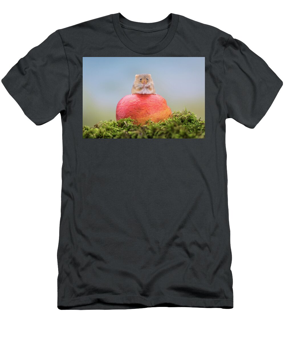 Cute T-Shirt featuring the photograph Boss mouse by Erika Valkovicova