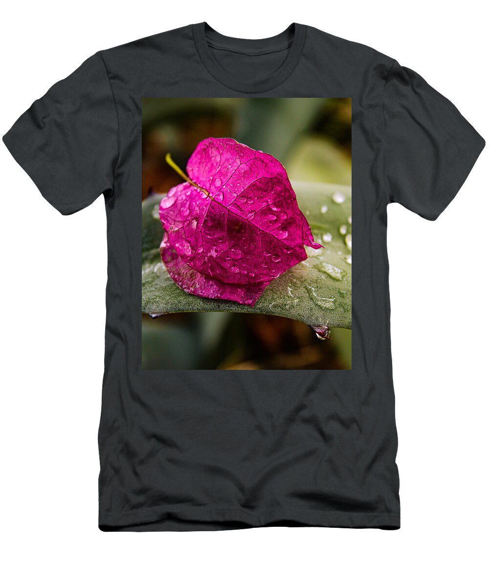 Bougainvillea Spectabilis T-Shirt featuring the photograph Bougainvillea Bract on Agave by W Craig Photography