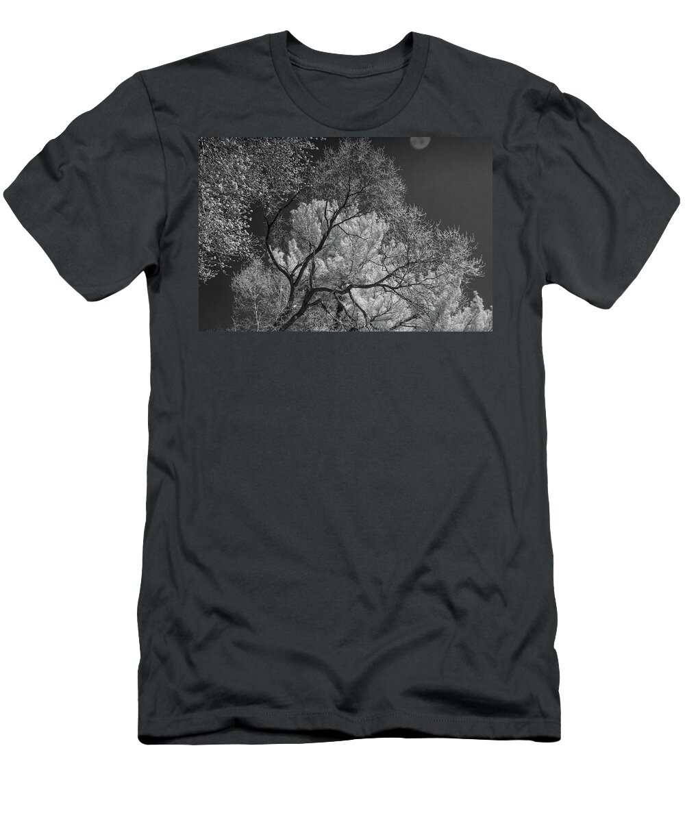 Trees T-Shirt featuring the photograph Branches in Infrared by Alan Goldberg