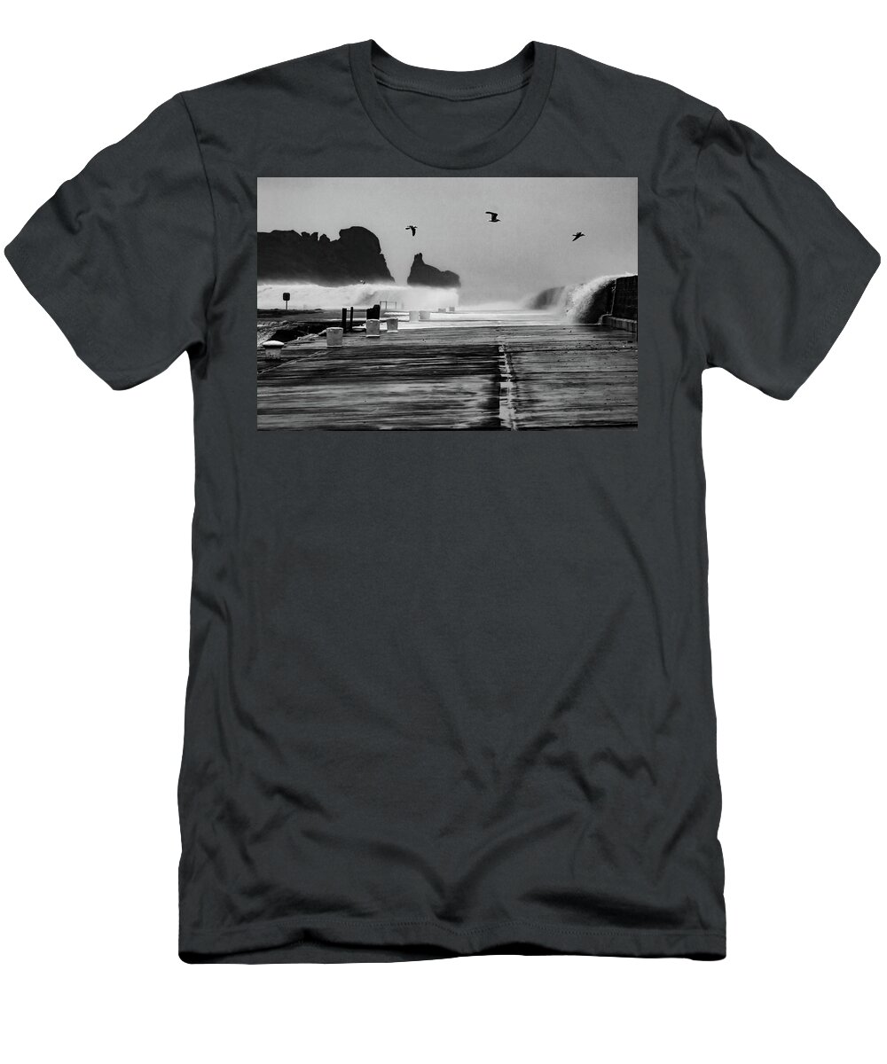 Howth T-Shirt featuring the photograph Brave Birds, Winter Storm - Howth, Dublin by John Soffe