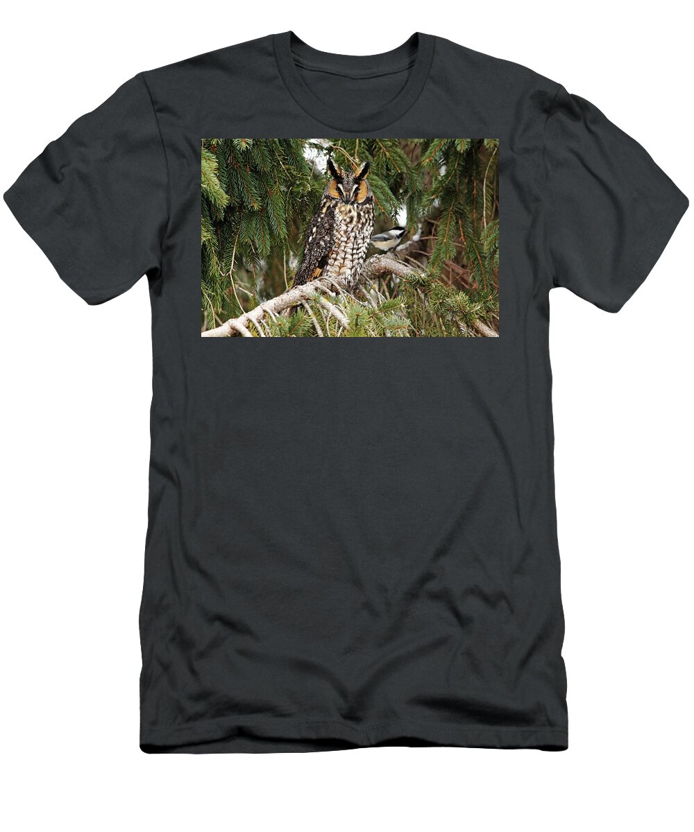 Owl T-Shirt featuring the photograph Brave Chickadee by Debbie Oppermann