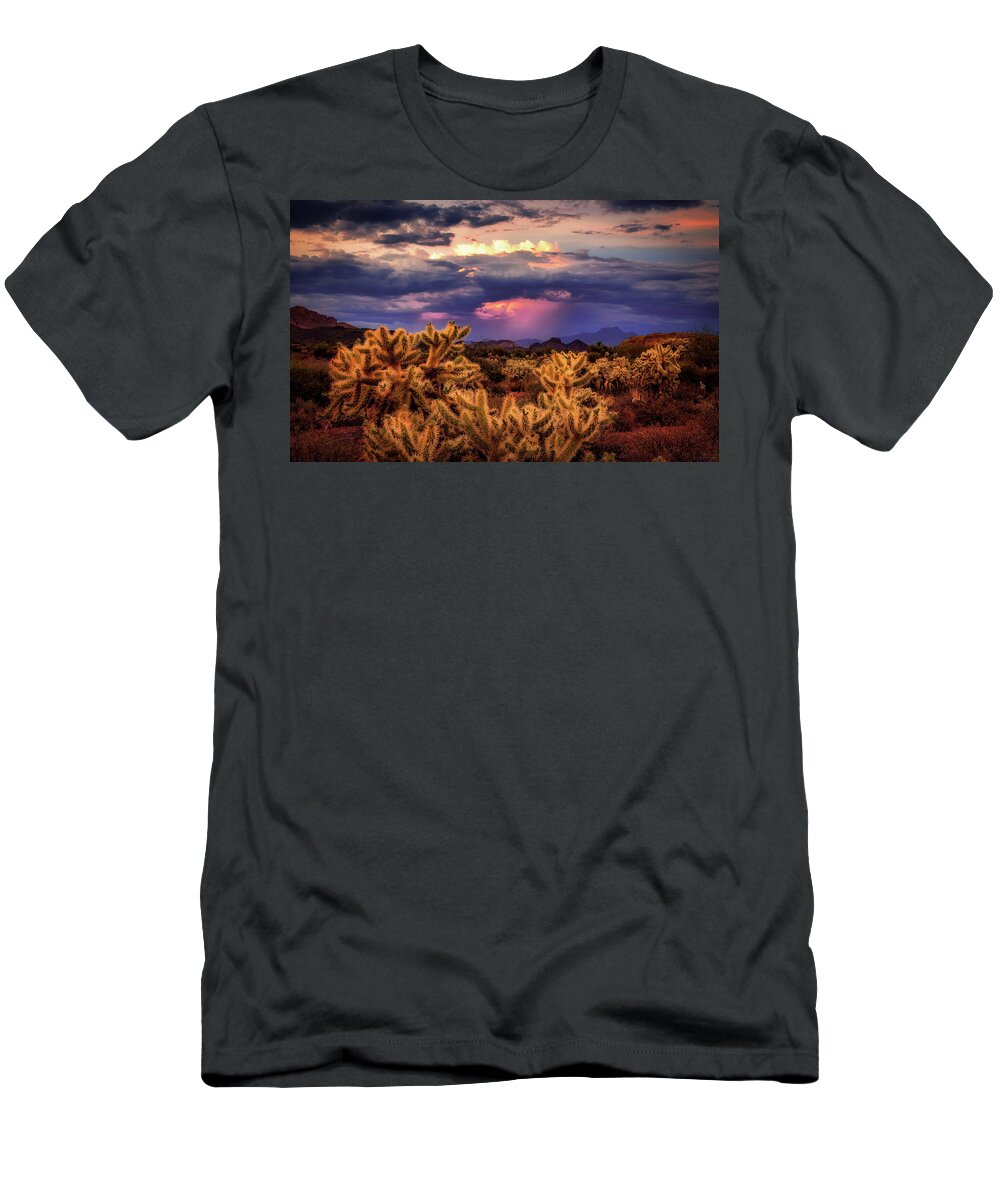 American Southwest T-Shirt featuring the photograph Break in the Heat by Rick Furmanek