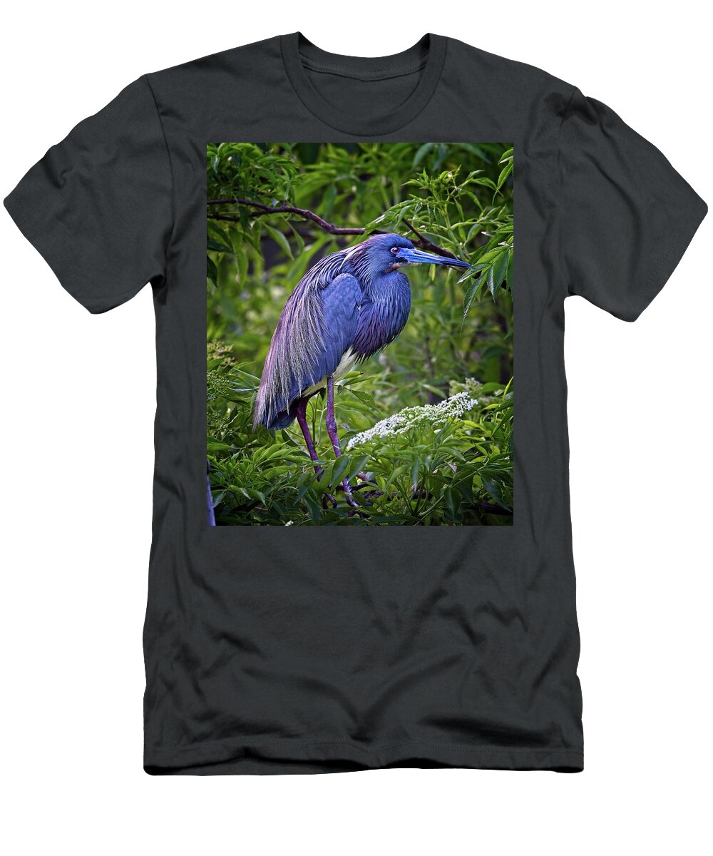 Florida T-Shirt featuring the photograph Breeding Tri-colored Heron by Ronald Lutz
