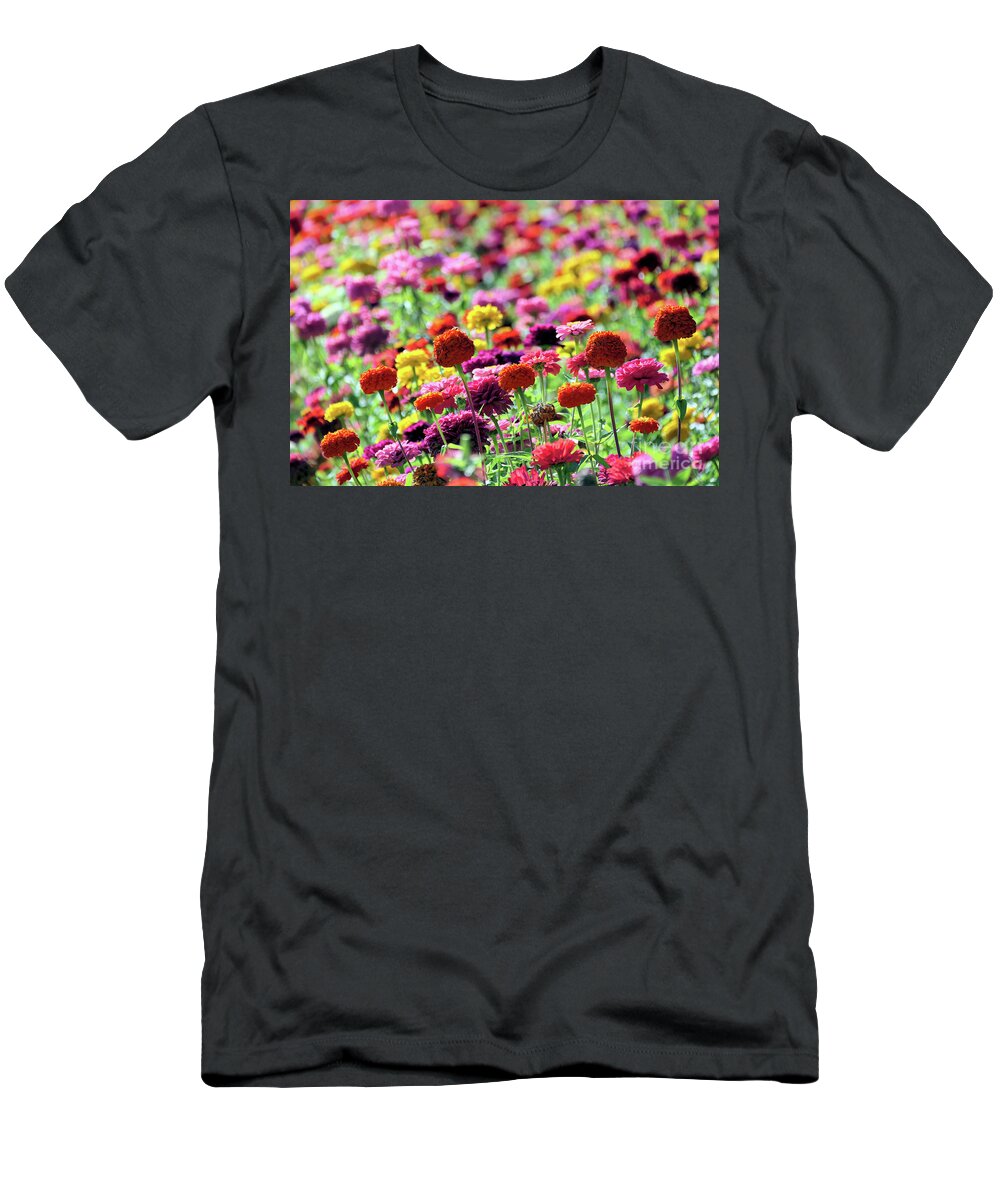 Zinnia T-Shirt featuring the photograph Bright Colorful Zinnia Field by Vivian Krug Cotton