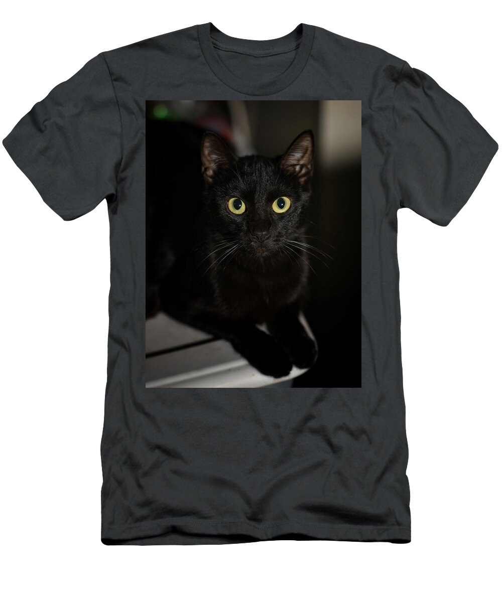 Cat T-Shirt featuring the photograph Bright Eyes by DArcy Evans