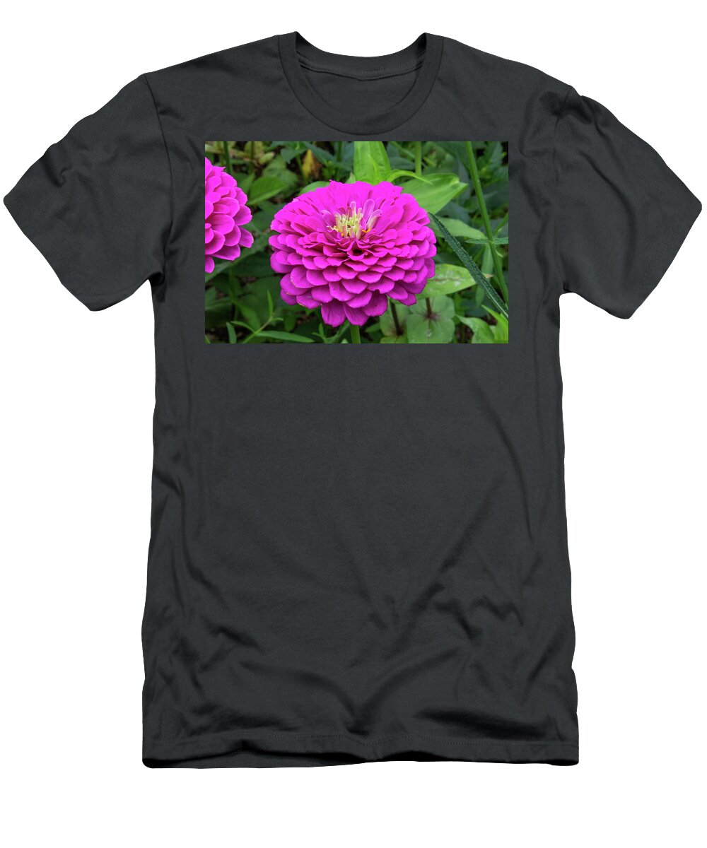 Flower T-Shirt featuring the photograph Bright zinnia by Brian Weber