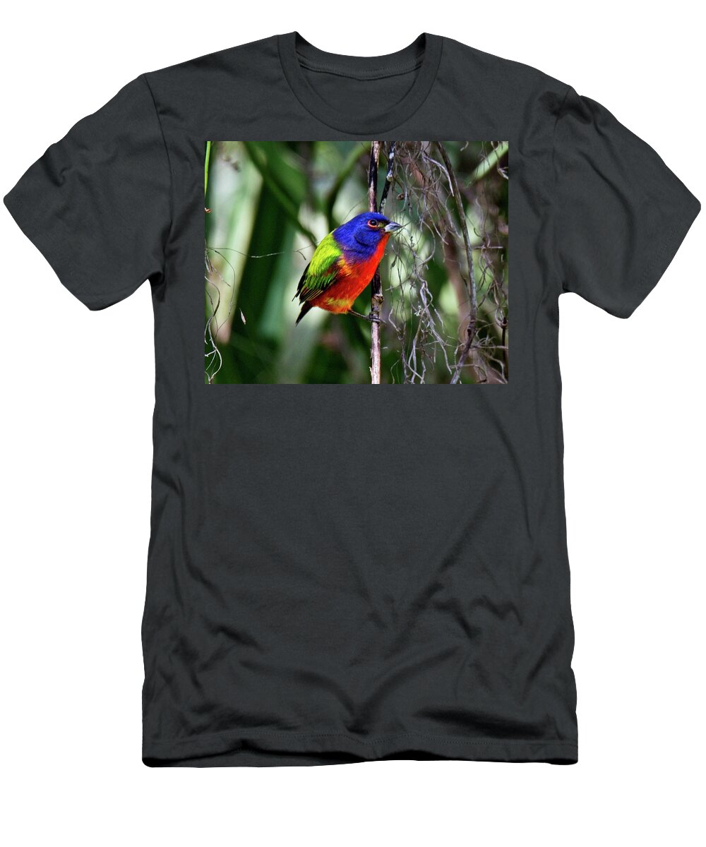 Bird T-Shirt featuring the photograph Brightly colored Male Painted Bunting by Ronald Lutz
