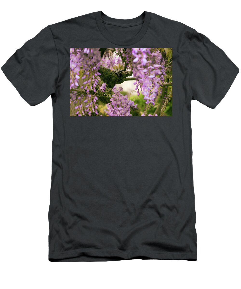 Wisteria T-Shirt featuring the photograph The Scent of Wisteria by Jessica Jenney
