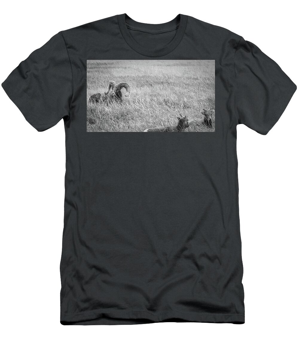Large T-Shirt featuring the photograph Broken But Not Lost by Double AA Photography
