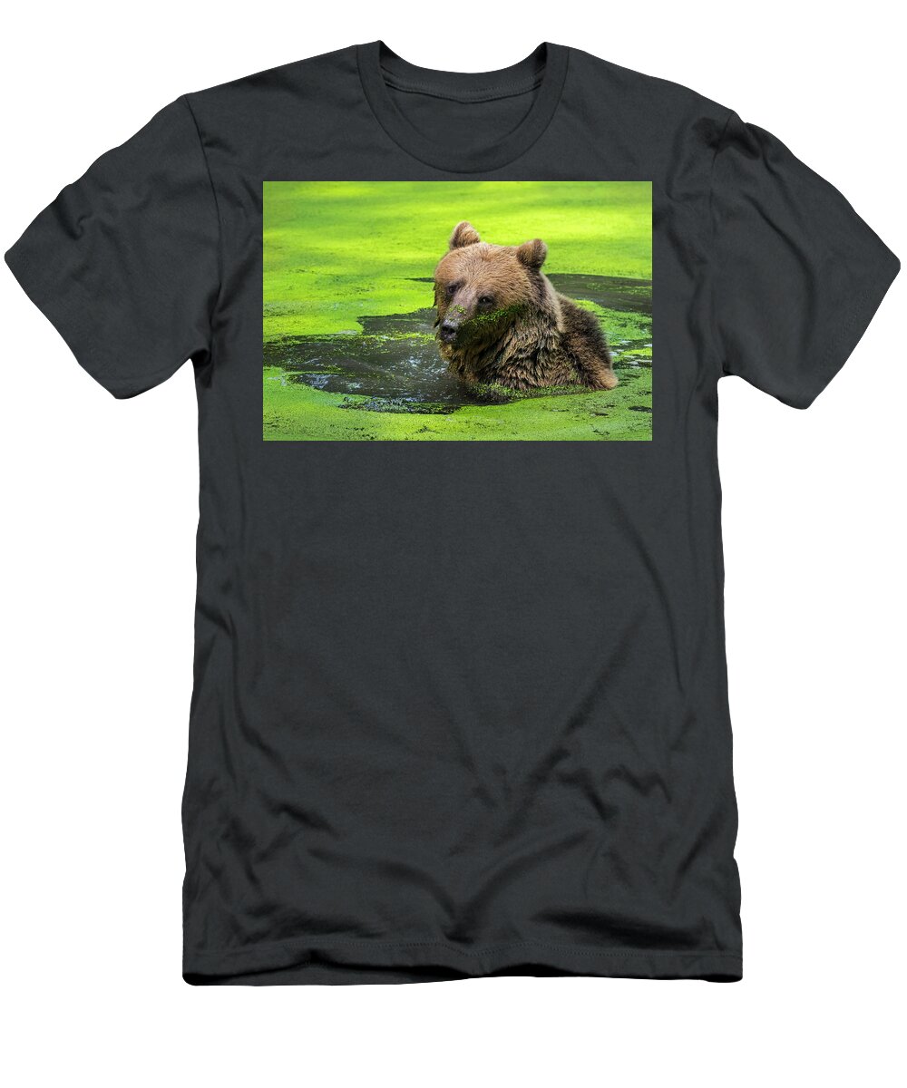 European Brown Bear T-Shirt featuring the photograph Brown Bear in Pond by Arterra Picture Library