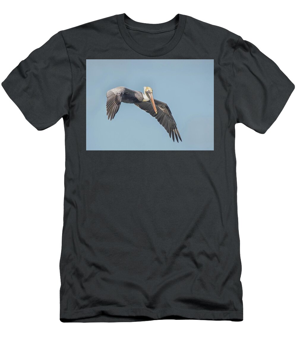 Pelican T-Shirt featuring the photograph Brown Pelican Flyby by CR Courson