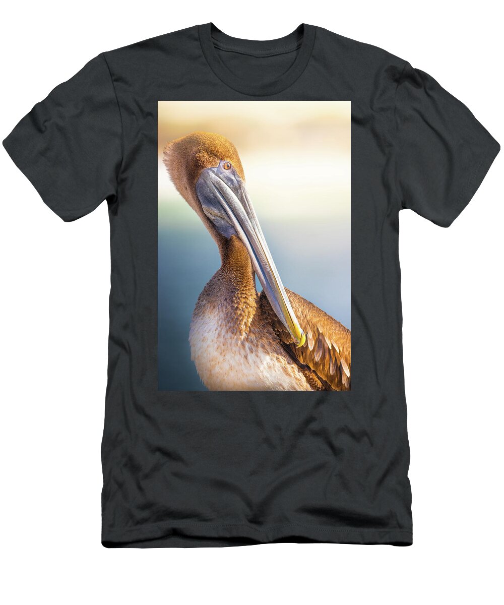 Pelican T-Shirt featuring the photograph Brown Pelican In The Sun by Jordan Hill