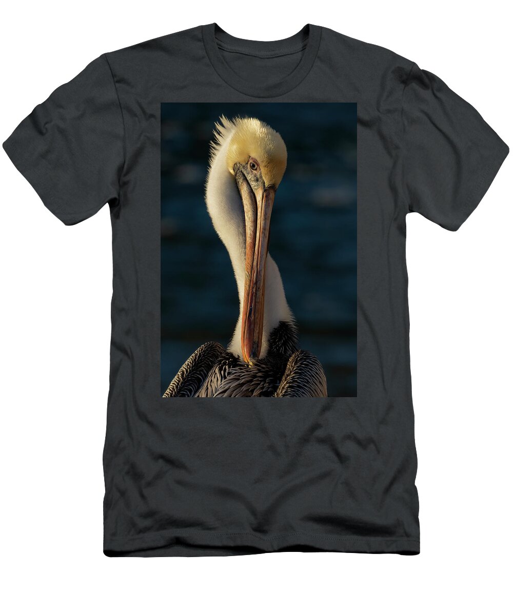 Birds T-Shirt featuring the photograph Brown Pelican Portrait by RD Allen