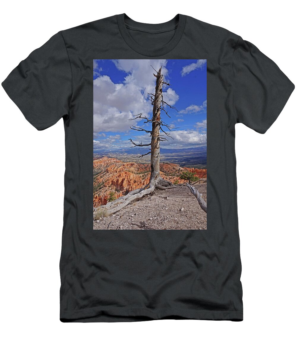 Bryce Canyon National Park T-Shirt featuring the photograph Bryce Canyon National Park - Still standing by Yvonne Jasinski