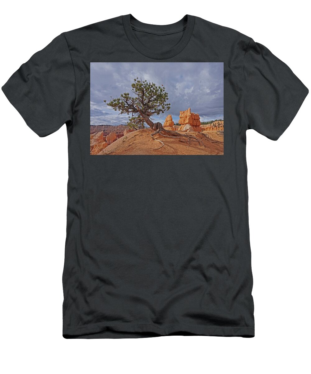 Bryce Canyon National Park T-Shirt featuring the photograph Bryce Canyon National Park - Nothing can't break me by Yvonne Jasinski