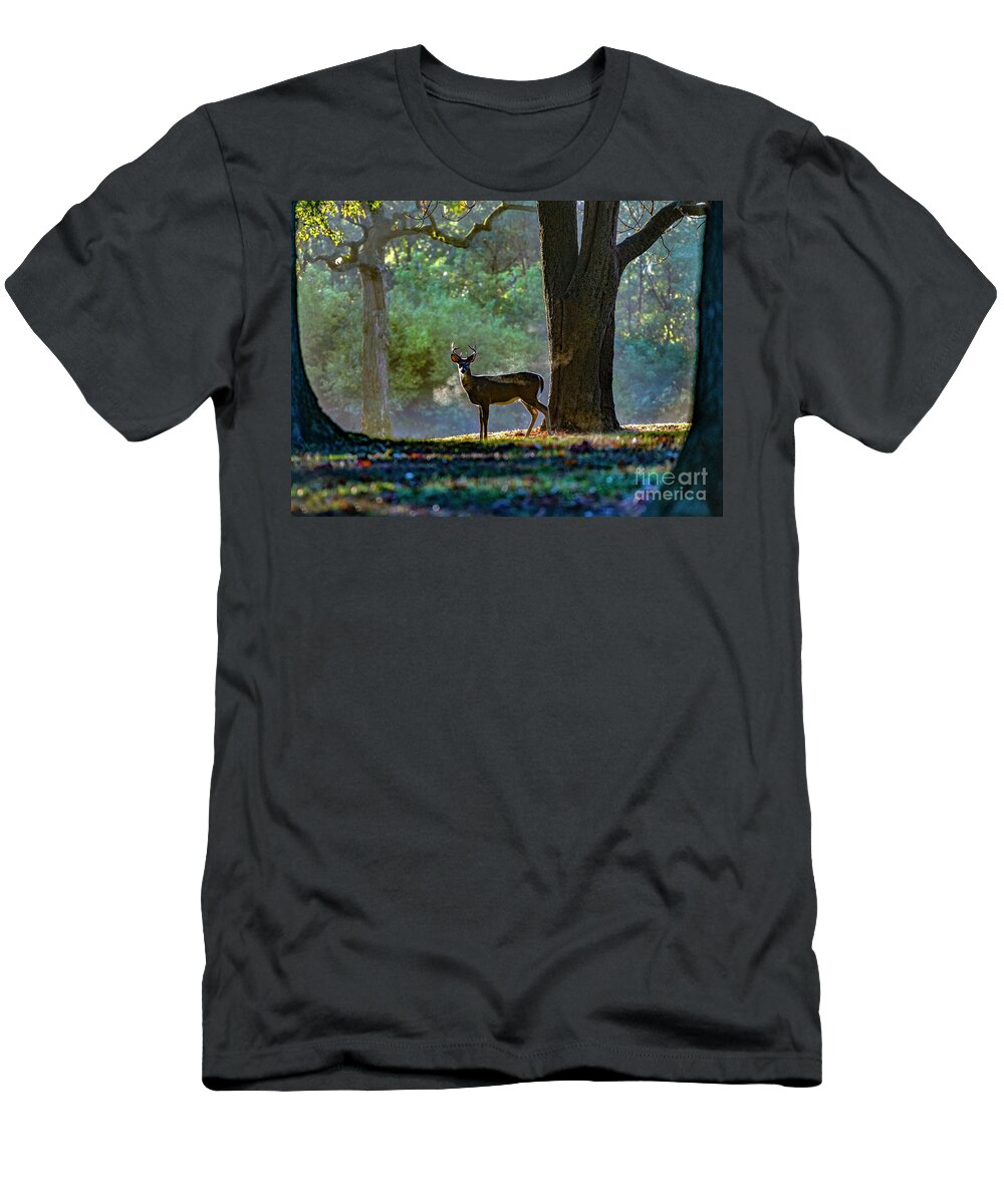 White Tailed Deer T-Shirt featuring the photograph Buck Breath by Sandra Rust