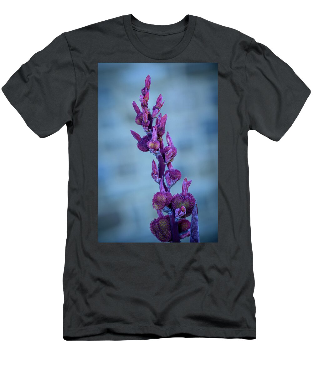 Flowers T-Shirt featuring the photograph Budding Canna Lilies - purple by Frank Mari