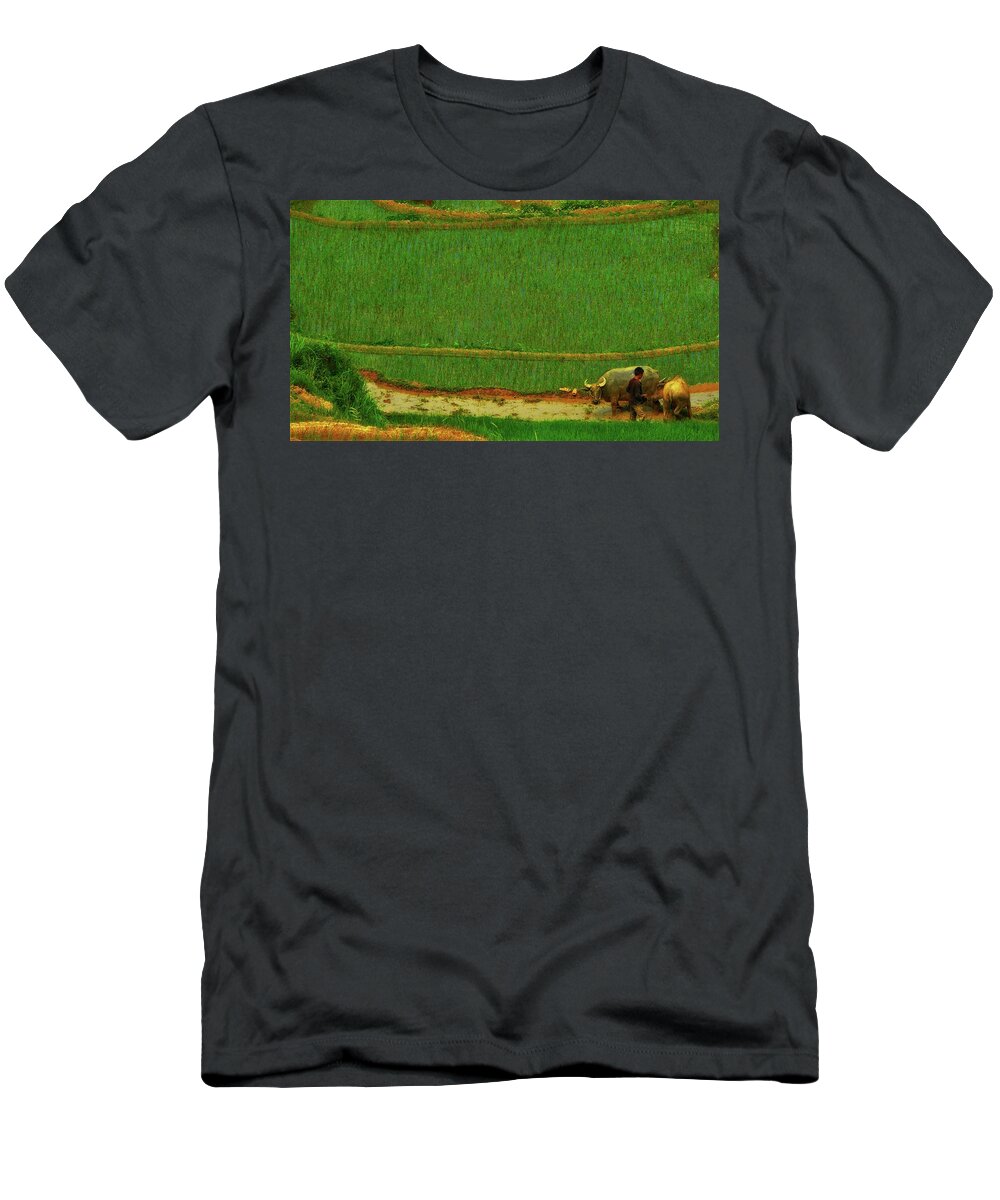 Buffalo T-Shirt featuring the photograph Buffallos on the rice field by Robert Bociaga