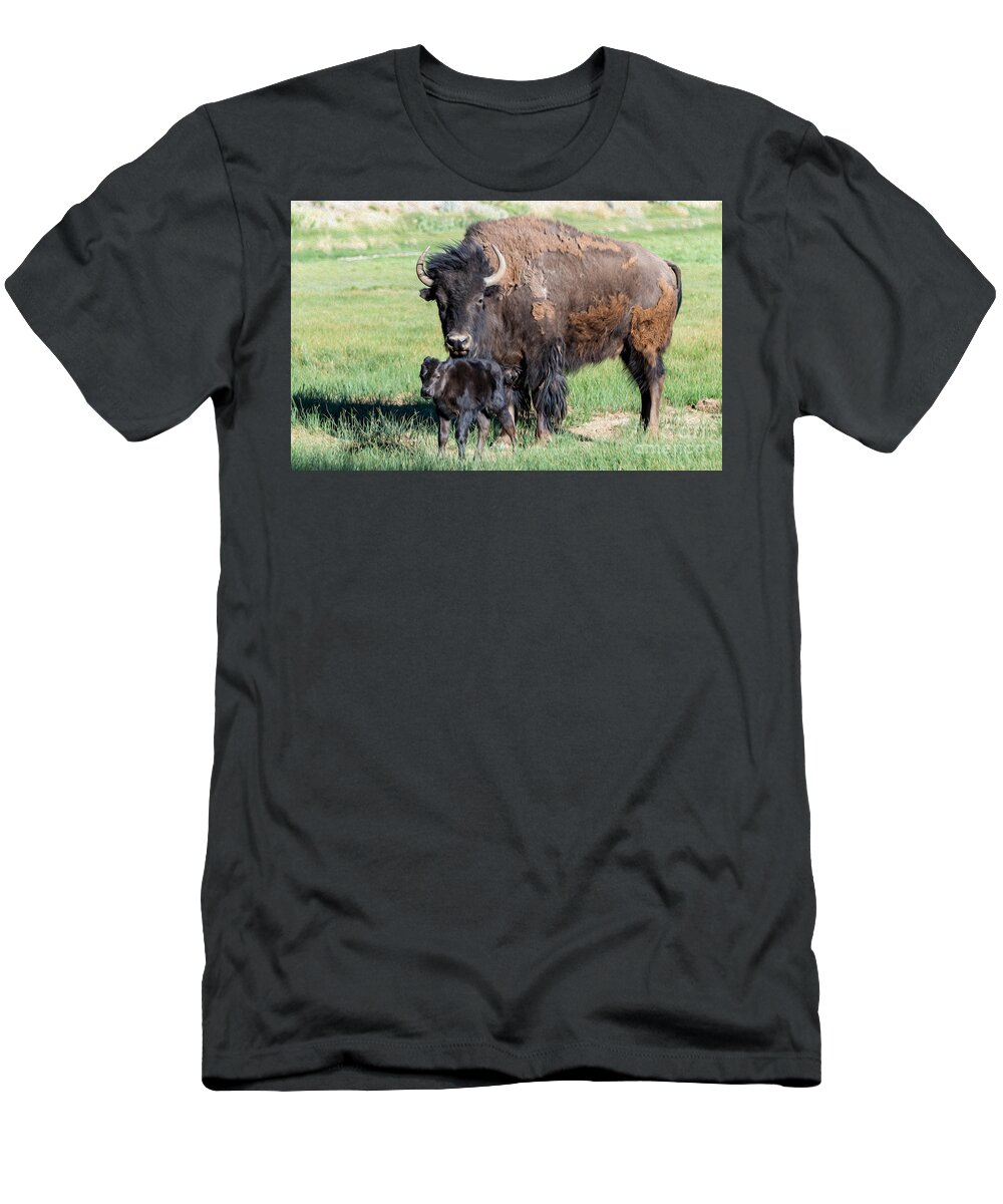 Buffalo And Baby Beefalo T-Shirt featuring the digital art Buffalo and baby Beefalo by Tammy Keyes