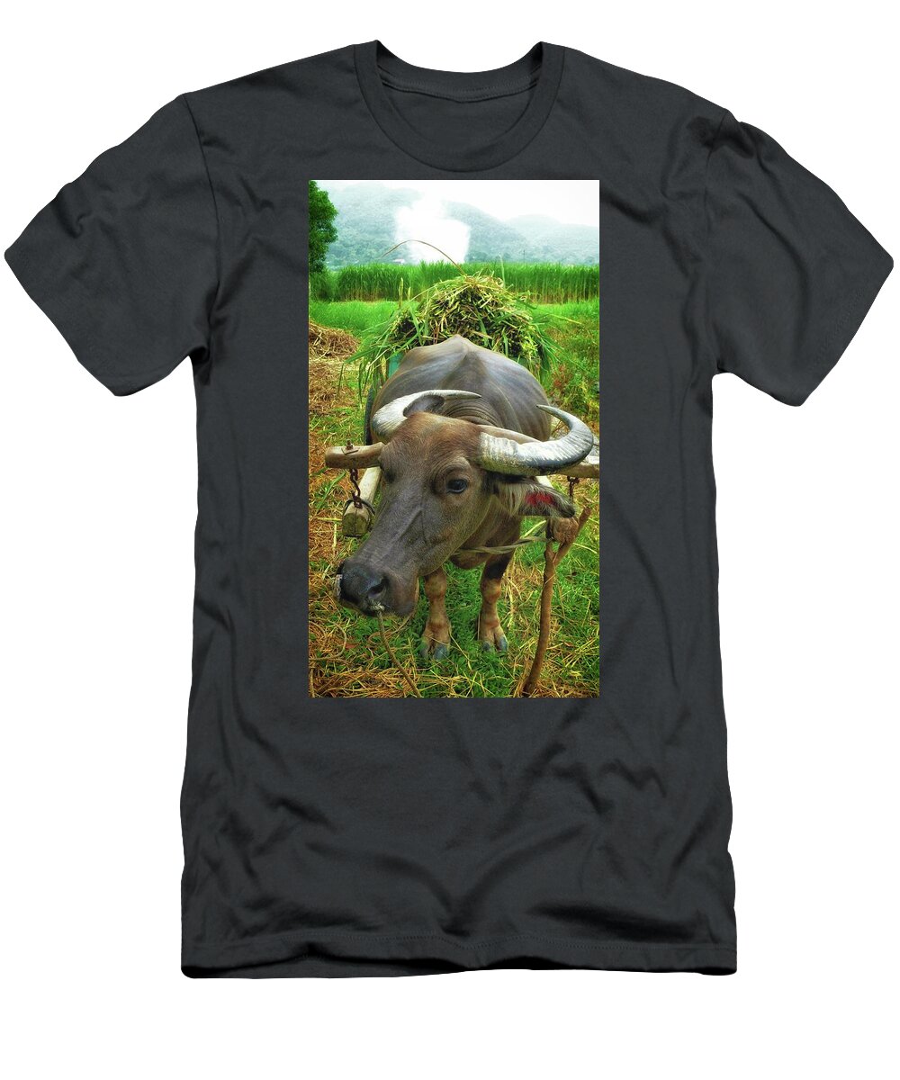 Buffalo T-Shirt featuring the photograph Buffalo portrait by Robert Bociaga