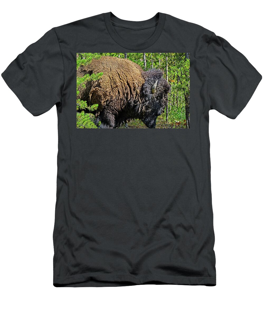 Animal T-Shirt featuring the photograph Buffalo Silhouette by David Desautel