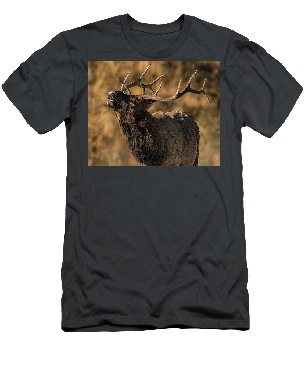 Bull Elk T-Shirt featuring the photograph Bull Elk Bugle In Fall by Yeates Photography