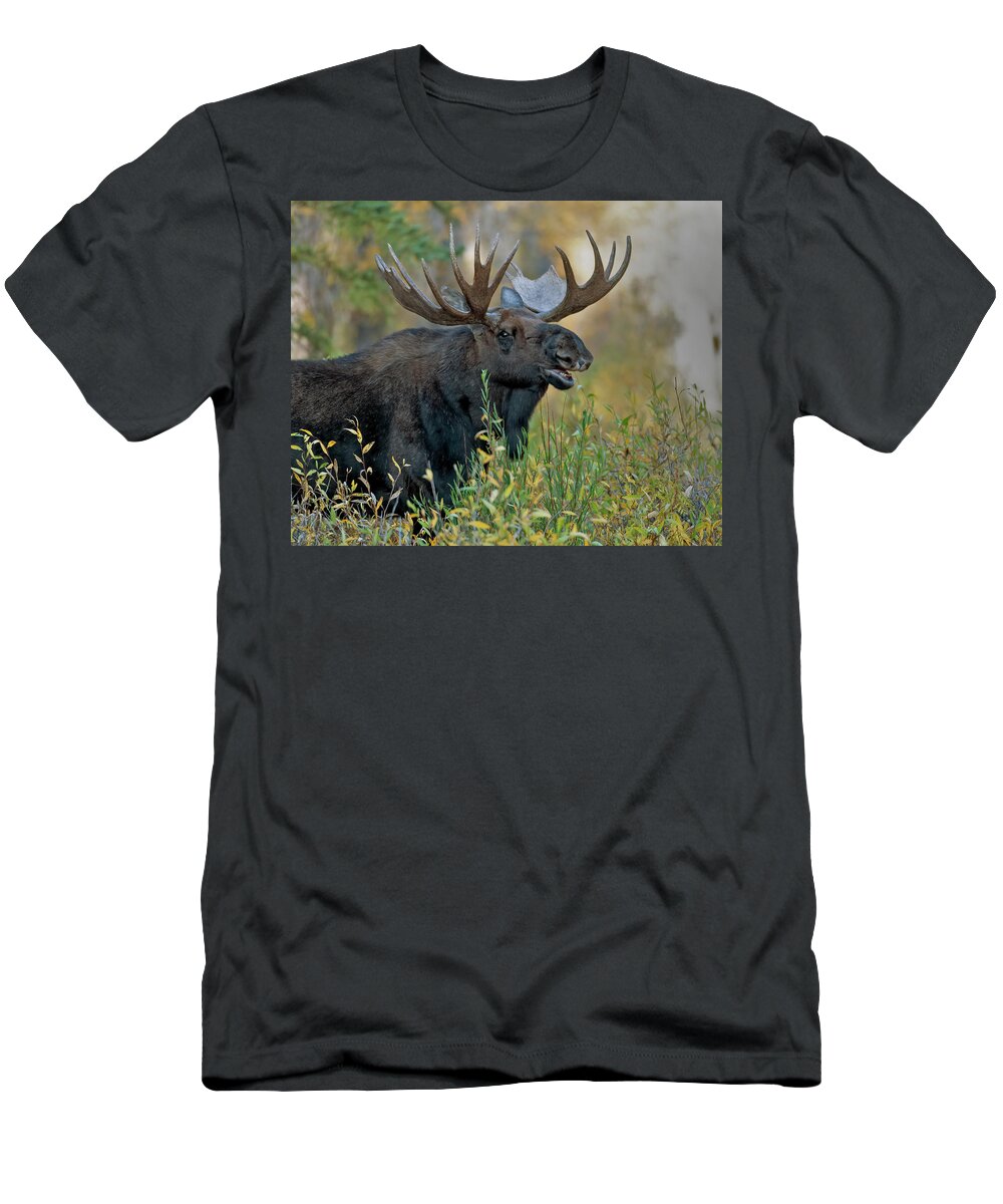 Bull Moose Calling T-Shirt featuring the photograph Bull Moose Calling by Gary Langley