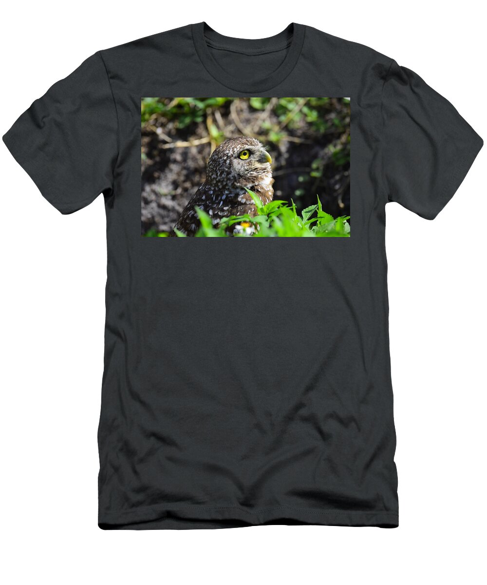 Burrowing Owl Photography T-Shirt featuring the photograph Burrowing owl by David McKinney