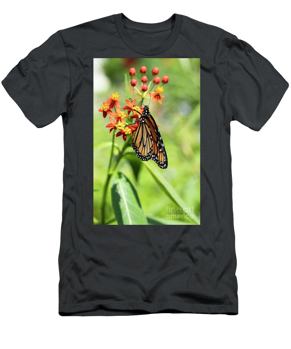 Wayne Moran Photograpy T-Shirt featuring the photograph Butterflies and Flowers West Martello Tower Key West Garden Club Key West Florida by Wayne Moran