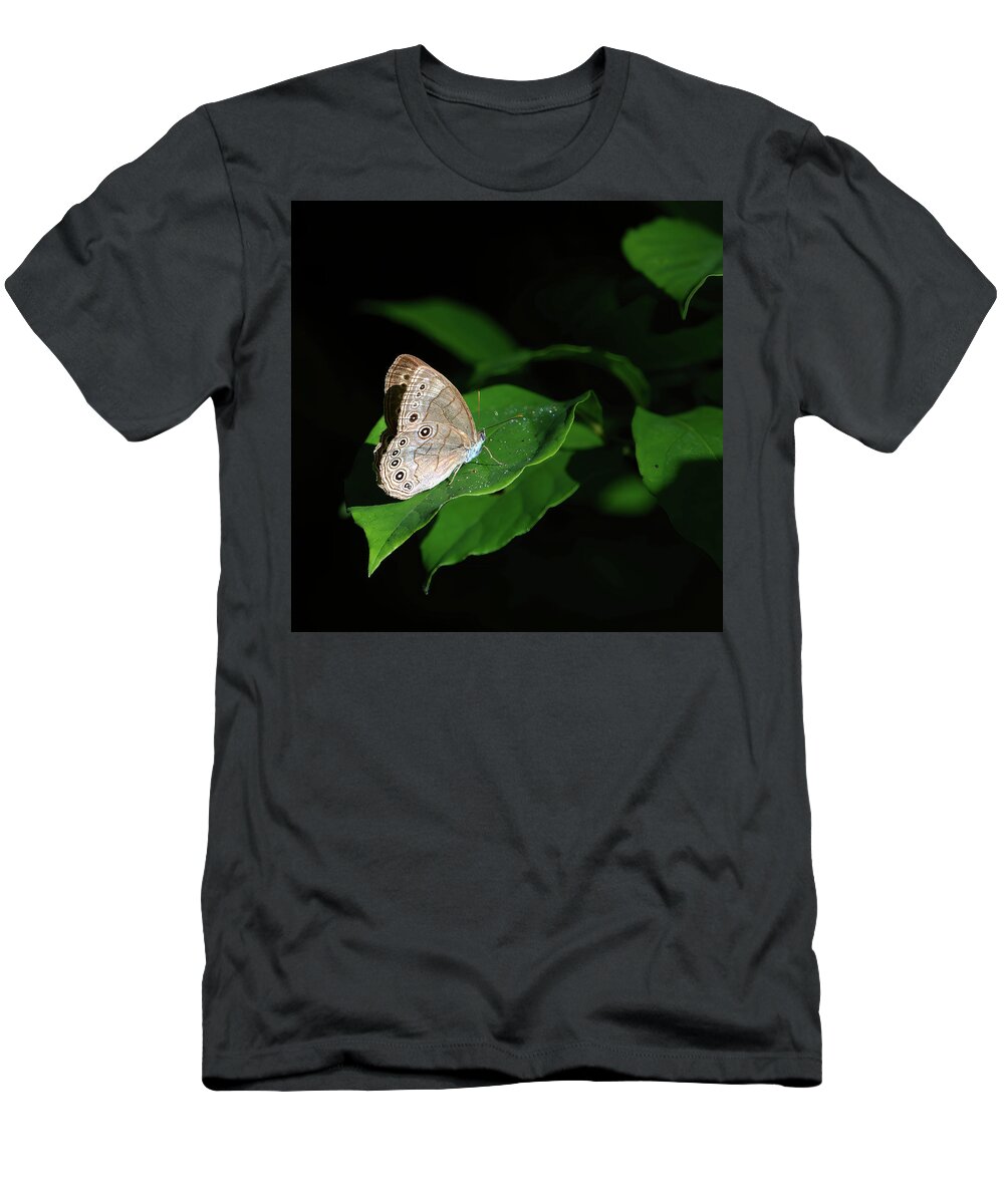 Butterfly T-Shirt featuring the photograph Eyed-Brown Butterfly by Flinn Hackett