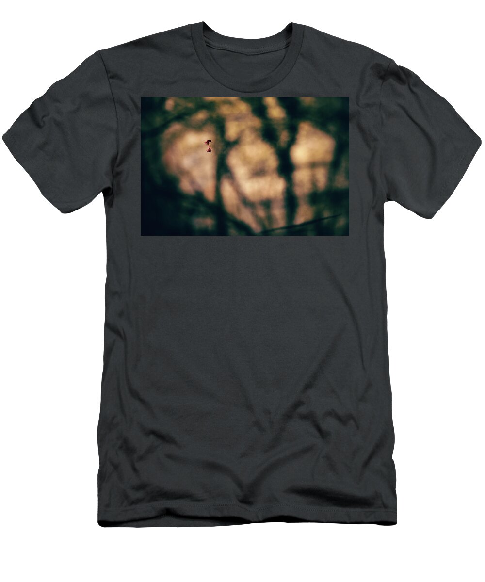 Forest T-Shirt featuring the photograph By a thread by Gavin Lewis