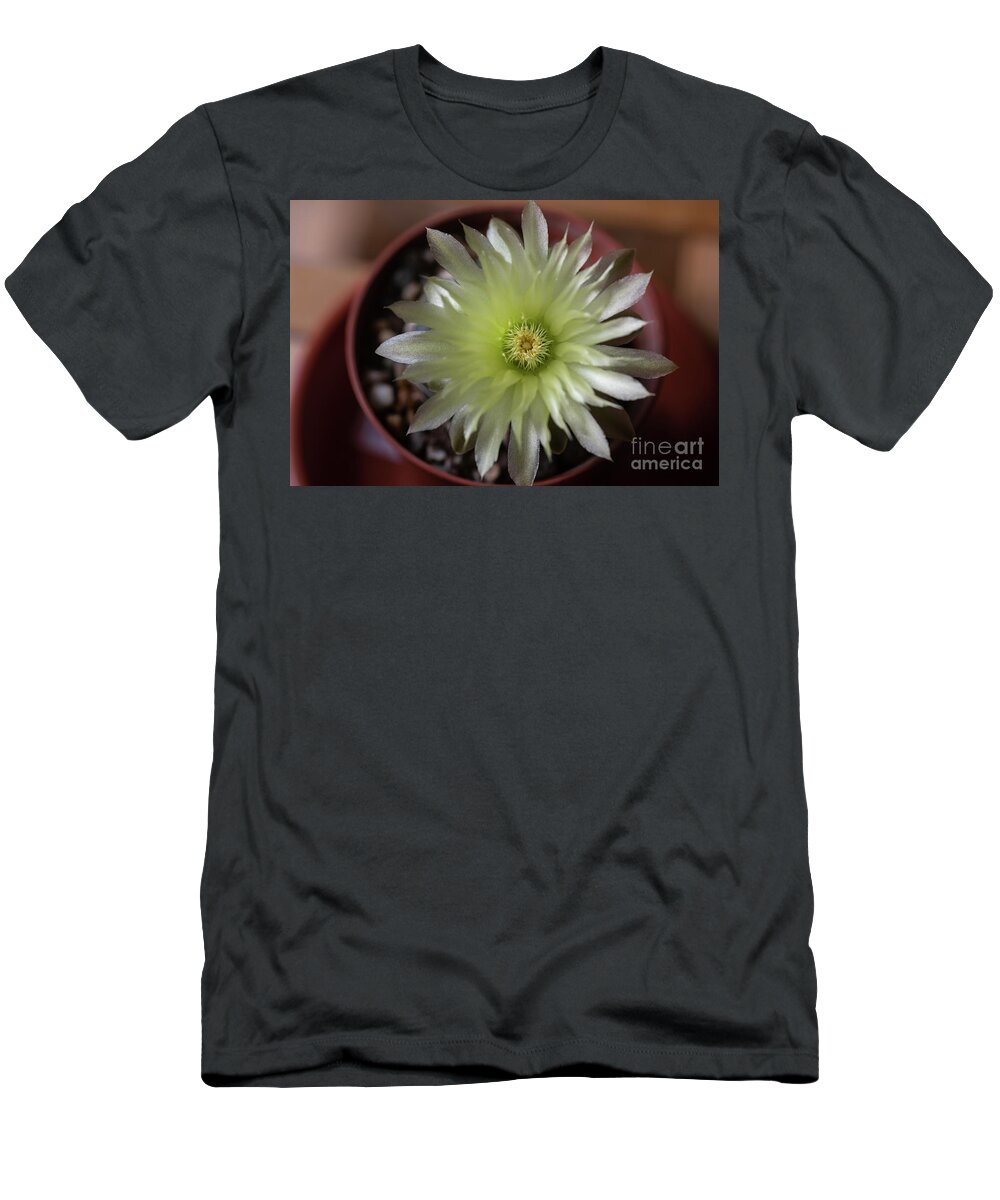 Gymnocalycium Denudatum T-Shirt featuring the photograph Cactus in Blossom by Eva Lechner