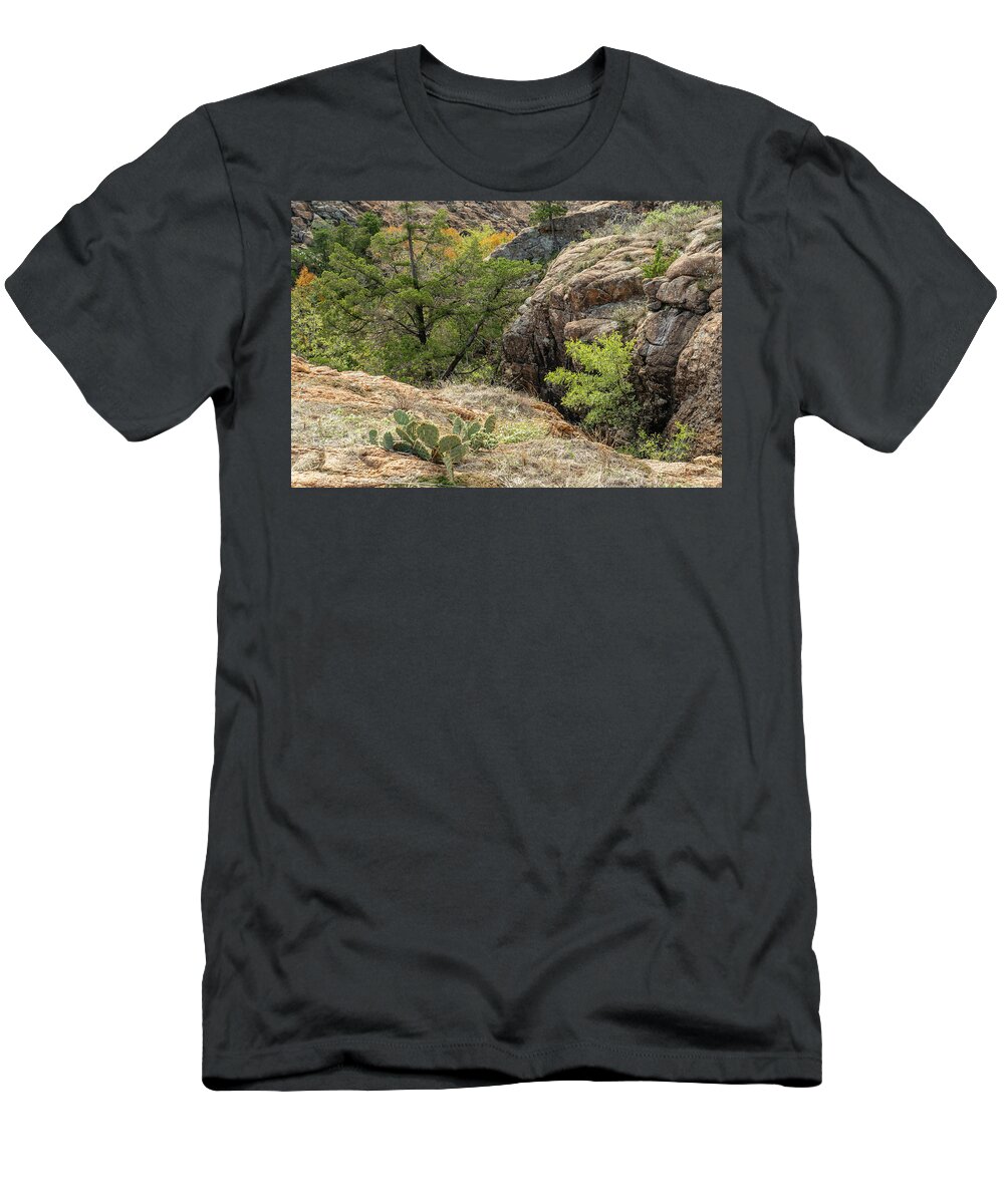 Mountains T-Shirt featuring the photograph Cactus in the Mountains by Iris Greenwell