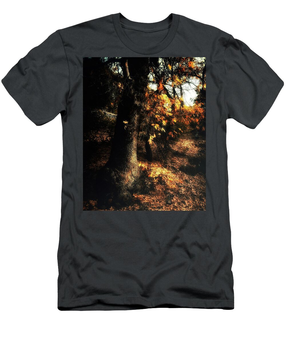 Yosemite T-Shirt featuring the photograph California Black Oak by Lawrence Knutsson