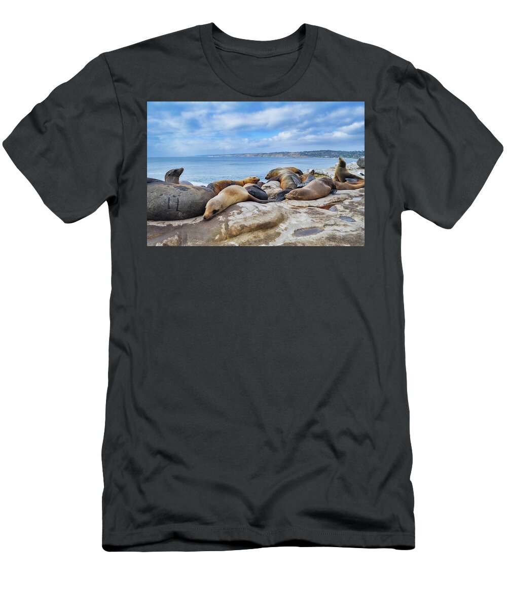 California Sea Lion T-Shirt featuring the photograph California Sea Lions La Jolla by Kyle Hanson