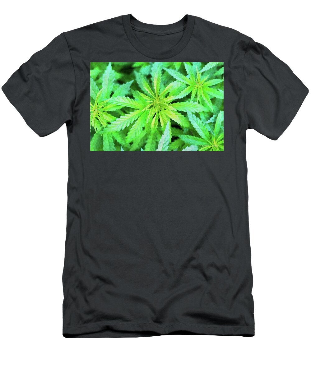 Cannabis T-Shirt featuring the painting Cannabis Leaves by Karrie J Butler