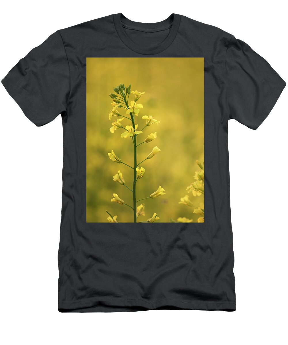 Canola T-Shirt featuring the photograph Canola Flowers by Phil And Karen Rispin
