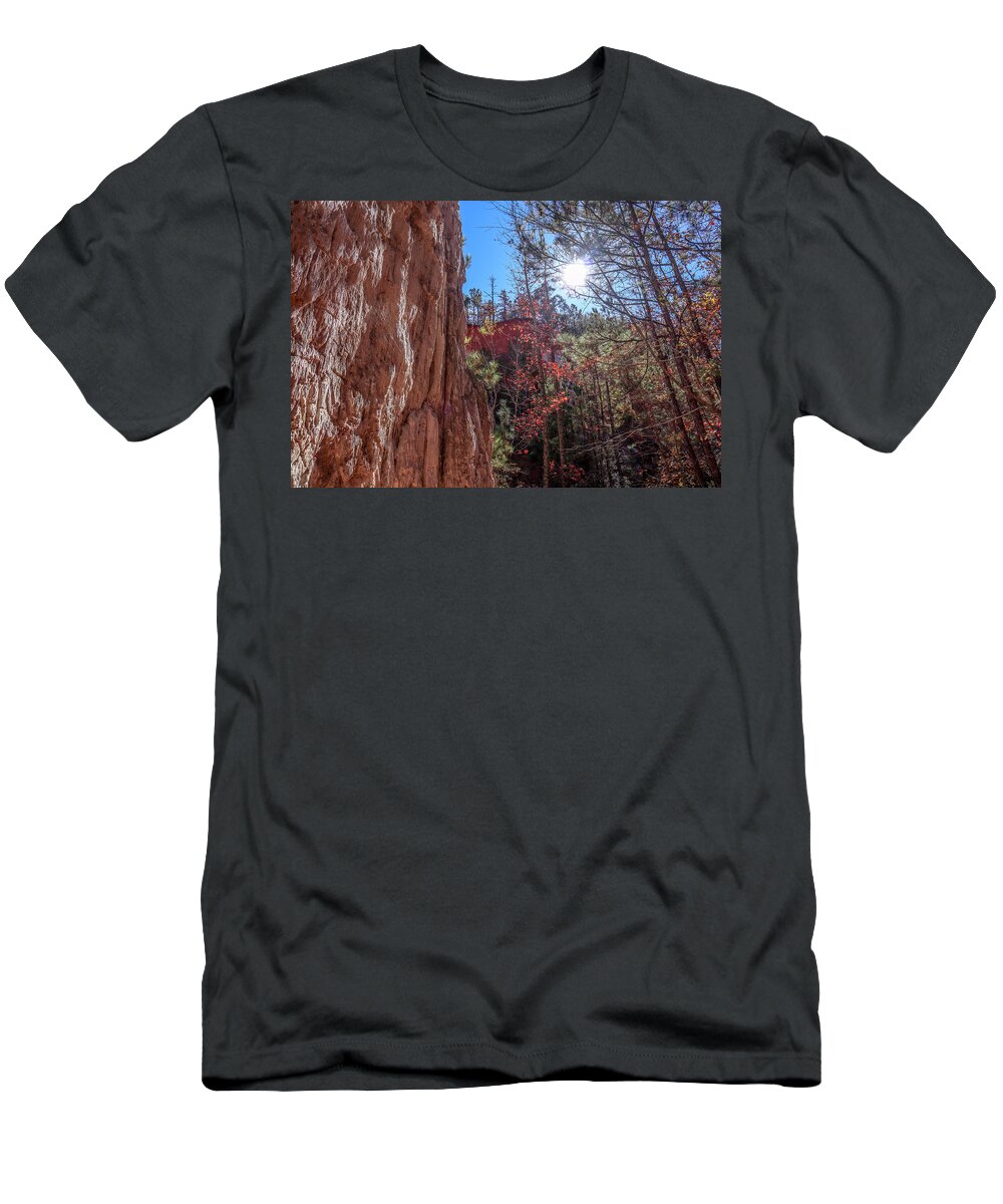 Providence Canyon State Park T-Shirt featuring the photograph Canyon Floor Afternoon Sun by Ed Williams