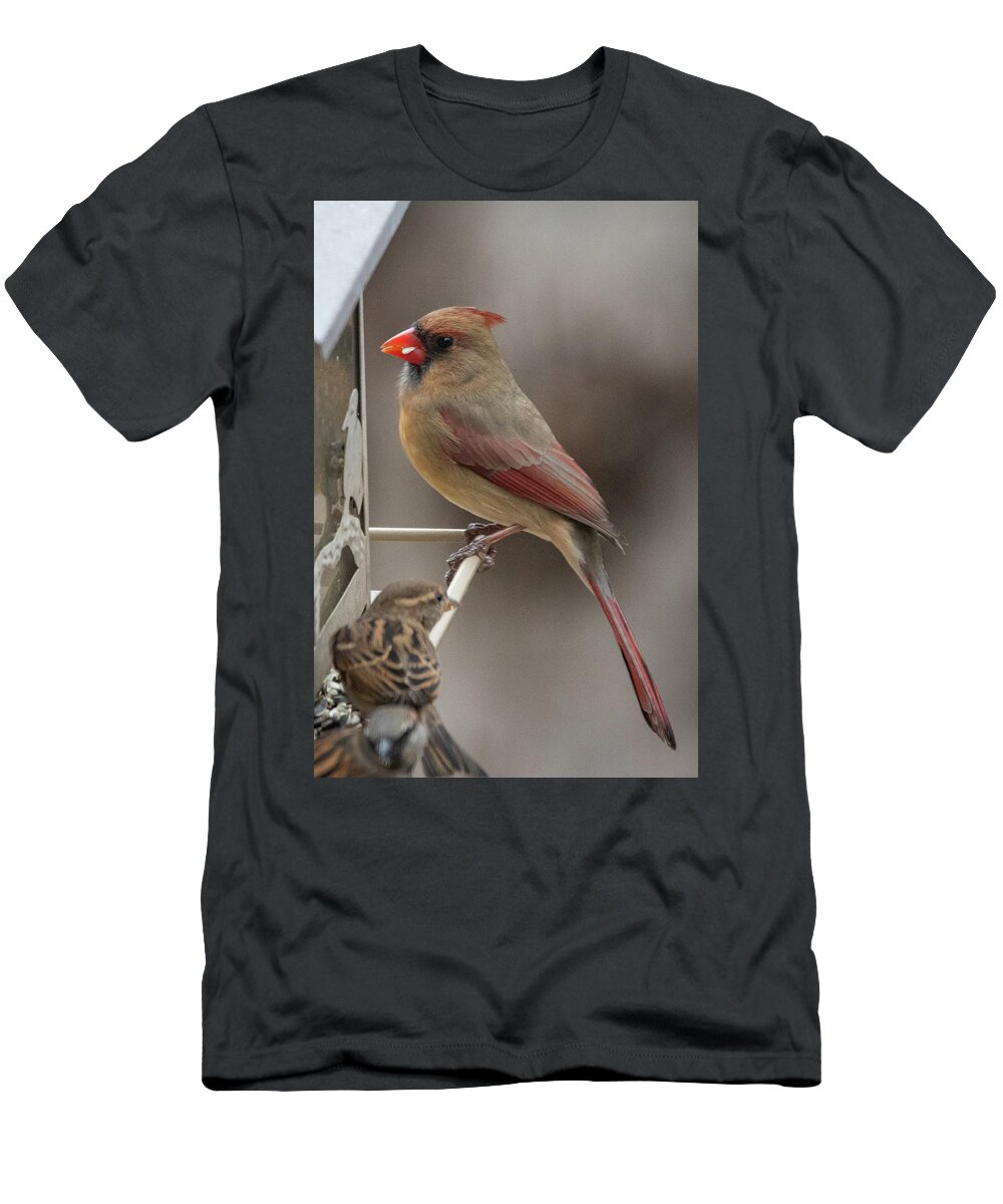 2019 T-Shirt featuring the photograph Cardinal 2 by Gerri Bigler