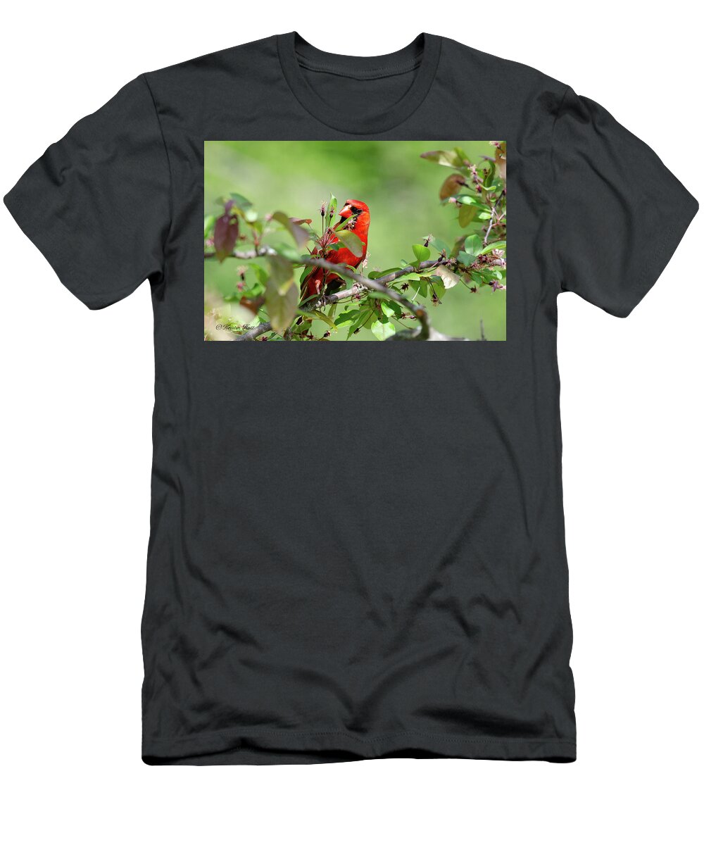 Eastern Cardinal T-Shirt featuring the photograph Cardinal Looks Inquiring by Kristin Hatt