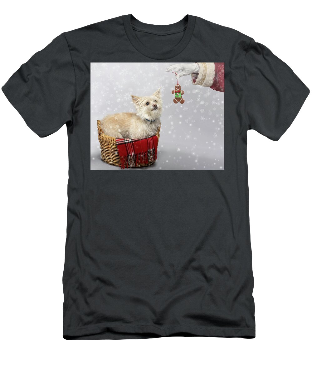 Cassie T-Shirt featuring the photograph Cassie with cookie by Rebecca Cozart