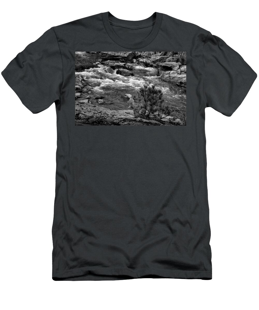 Castor River Shutins T-Shirt featuring the photograph Castor River Shutins and Pine Monotone Missouri GRK4857_03162021 by Greg Kluempers