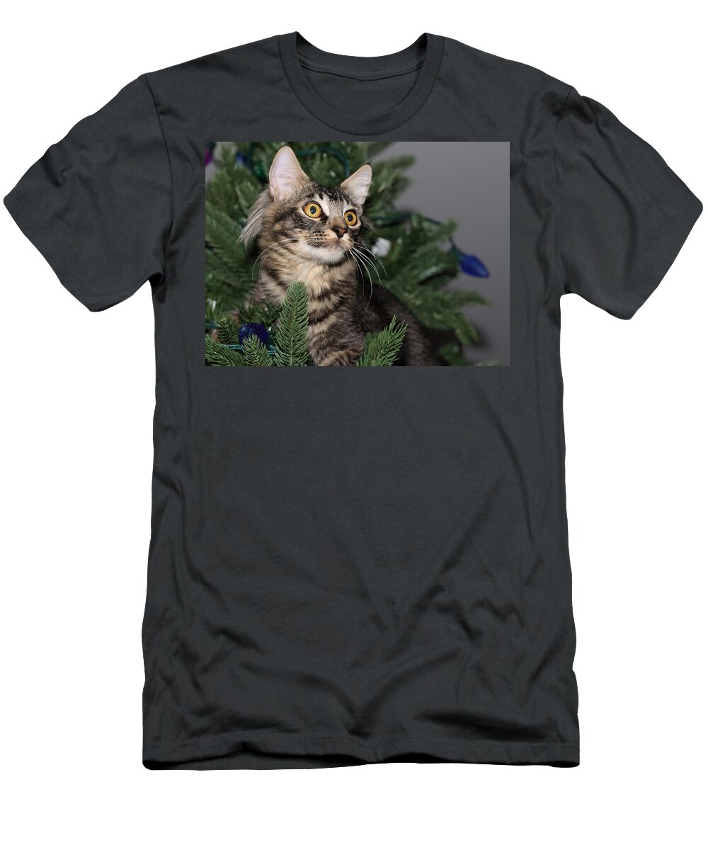 Maine Coon T-Shirt featuring the photograph Cat in a Christmas Tree by Mingming Jiang