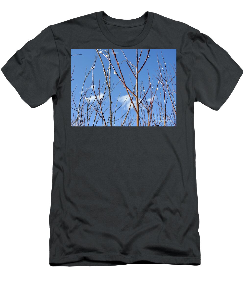 Pussy Willows T-Shirt featuring the photograph Catkins by Nicola Finch