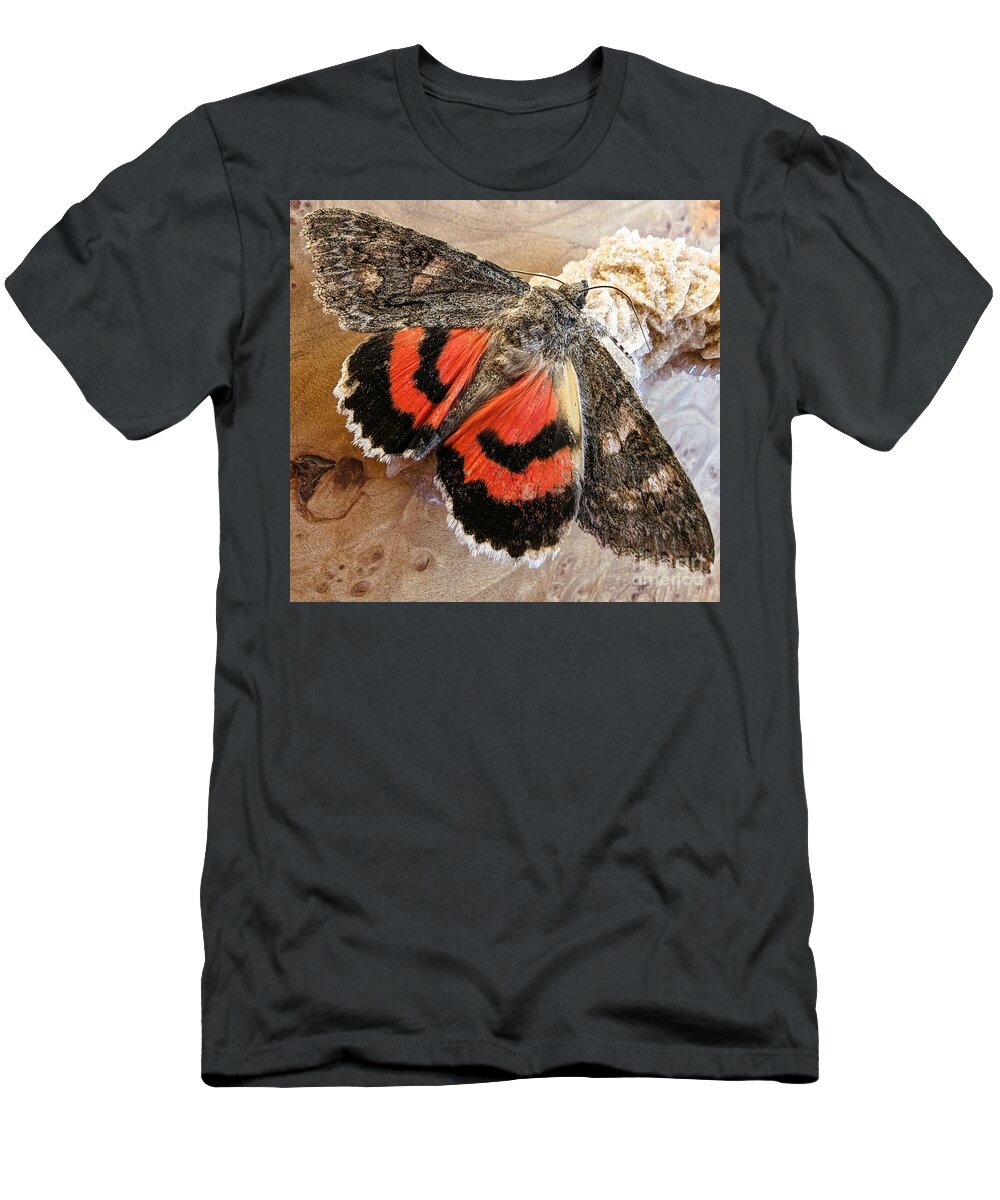 Nature T-Shirt featuring the photograph Catocala ilia Moth on Maple burl and a Desert Rose stone by Marsha Wilson
