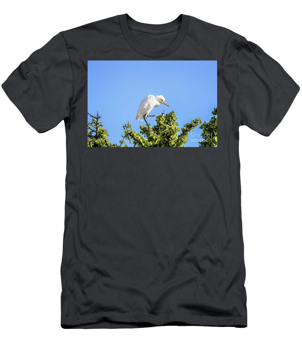 Bird T-Shirt featuring the photograph Cattle Egret by Jane Rix